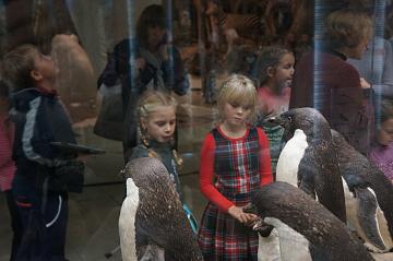 Экскурсия в Дарвиновский музей