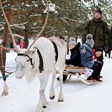 C Новым годом!