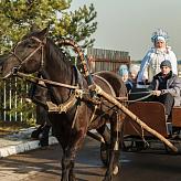 Масленица в МАШ