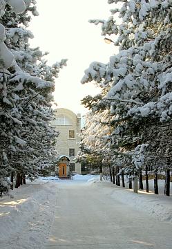 Лыжный сезон