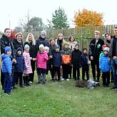 Международный день мира