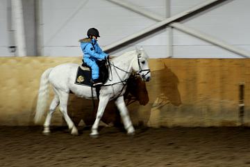 Конный спорт