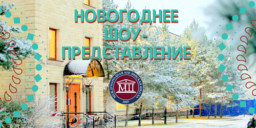 Новогоднее шоу-представление