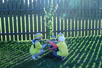 "Пусть всегда будет солнце!"