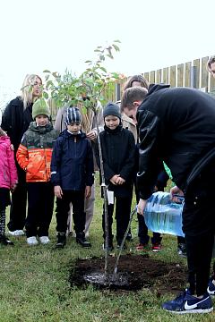 Международный день мира