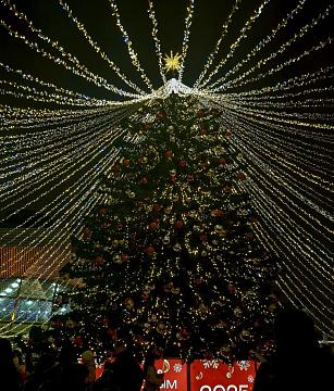 Новогодняя поездка в цирк — праздник для детей и взрослых!