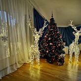 MAGGIC SANTA'S GROTTO