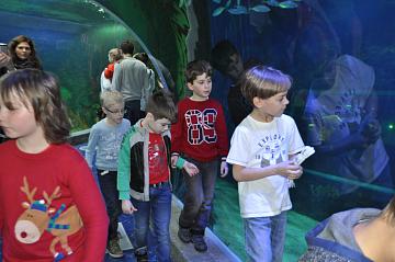 Океанариум