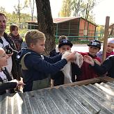 Приокско-Террасный биосферный заповедник