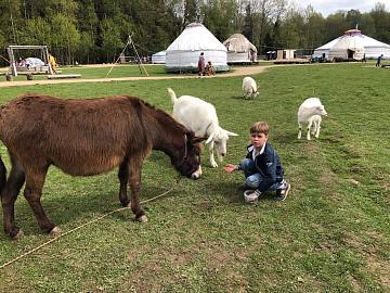 Экскурсия в Сергиев-Посад