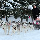 C Новым годом!