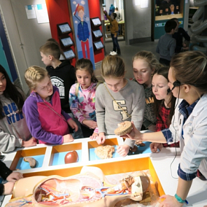 Поездка в Биоэкспериментаниум «Живые системы»