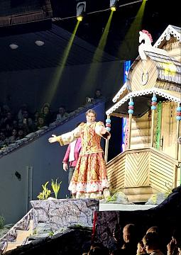 Новогодняя поездка в цирк — праздник для детей и взрослых!