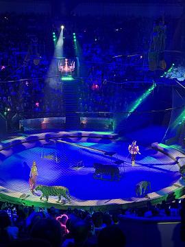 Новогодняя поездка в цирк — праздник для детей и взрослых!