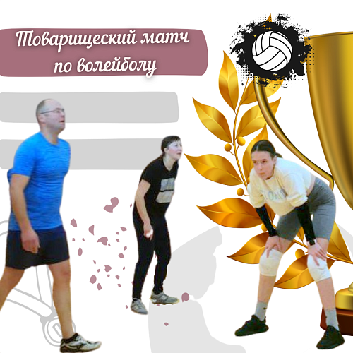 Tоварищеский матч по волейболу 