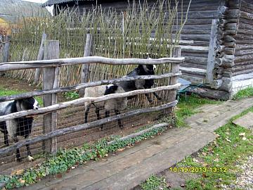 городок Мышкин