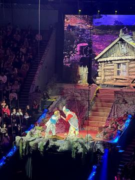 Новогодняя поездка в цирк — праздник для детей и взрослых!