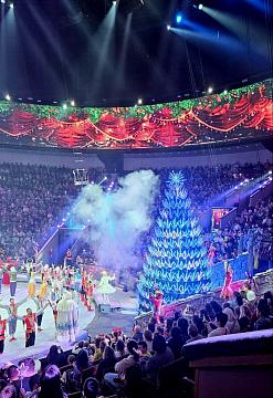 Новогодняя поездка в цирк — праздник для детей и взрослых!