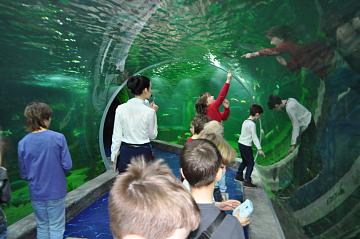 Океанариум