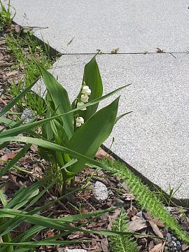 Экскурсия по Красной площади и в парке "Зарядье"