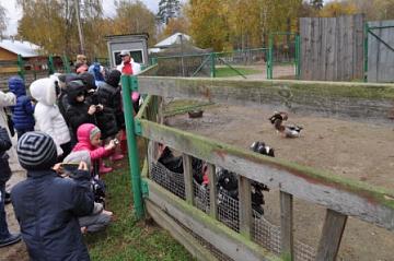 Экскурсия в зверосовхоз