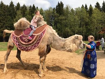 Экскурсия в Сергиев-Посад