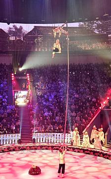 Новогодняя поездка в цирк — праздник для детей и взрослых!