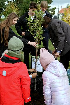 Международный день мира