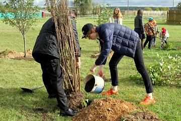 День Мира в "МАШ"