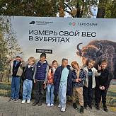 Экскурсия в Приокско-Террасный заповедник