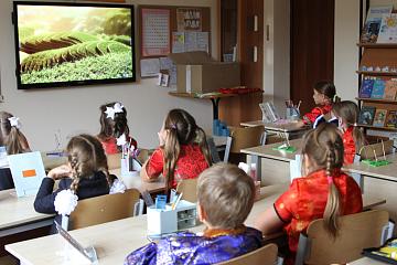 Международный день мира