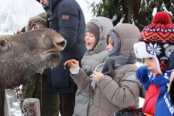 В гостях у Снегурочки в Костроме