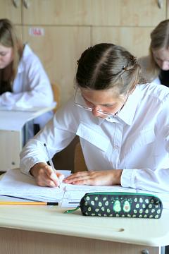 Независимое многоуровневое тестирование SELT по английскому языку