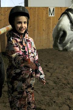 Конный спорт