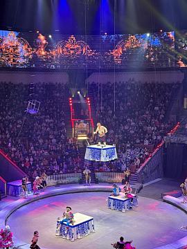 Новогодняя поездка в цирк — праздник для детей и взрослых!