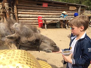 Экскурсия в Сергиев-Посад