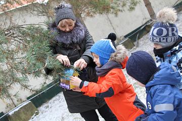 Акция "Покорми птиц!"