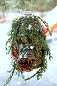 Акция "Покорми птиц!"