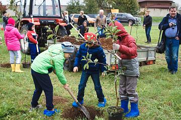 "День мира" в МАШ
