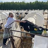 Путешествия по городам России