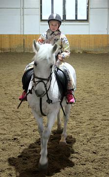 Конный спорт