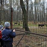Приокско-Террасный заповедник
