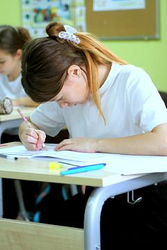 Независимое многоуровневое тестирование SELT по английскому языку