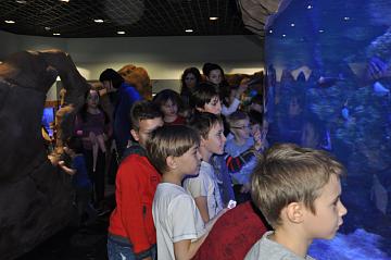 Океанариум