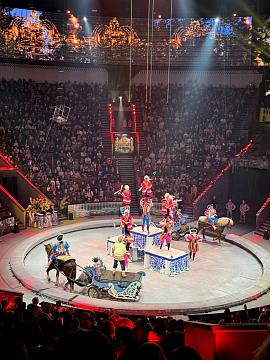 Новогодняя поездка в цирк — праздник для детей и взрослых!