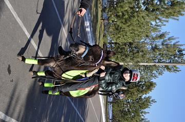 Масленица 2014