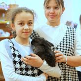 Благотворительная ярмарка 