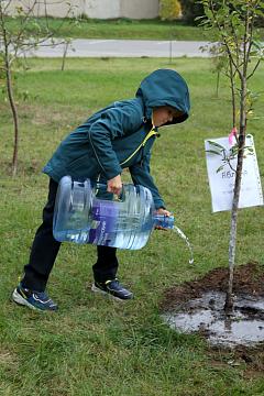 Международный день мира
