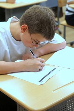 Независимое многоуровневое тестирование SELT по английскому языку