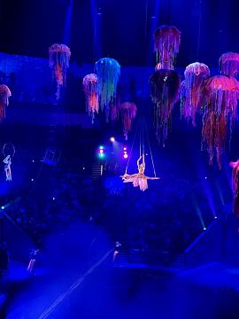 Новогодняя поездка в цирк — праздник для детей и взрослых!